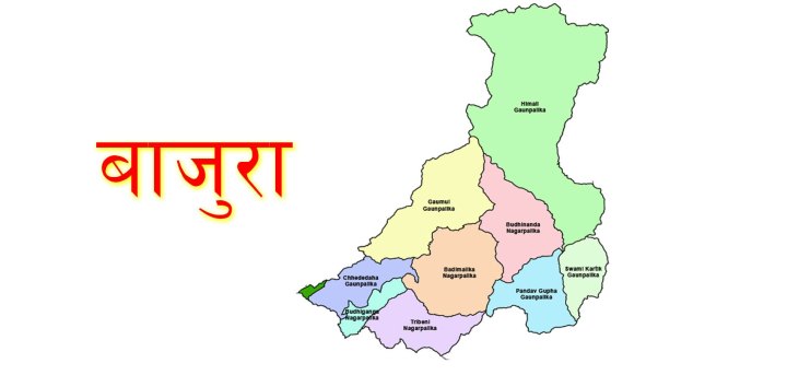 रूख ढल्दा बाजुरामा सात जना बालक घाइते
