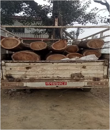 received_1315040356001536