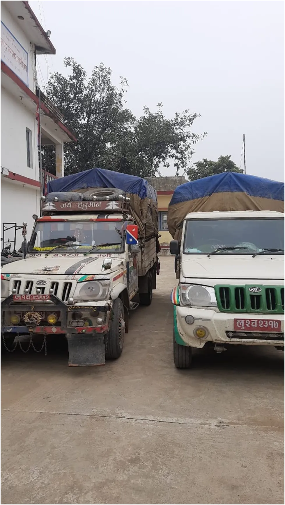 नवलपरासीको सरावल बाट रु १५ लाख ४५ हजार बराबरको काचो केरा सहित दुईओटा पिकअप नियन्त्रणमा