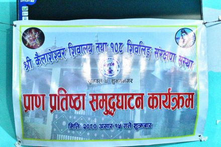 received_291134429949672