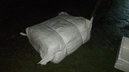 IMG-20230710-WA0000