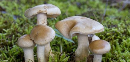 IMG_20230726_175855