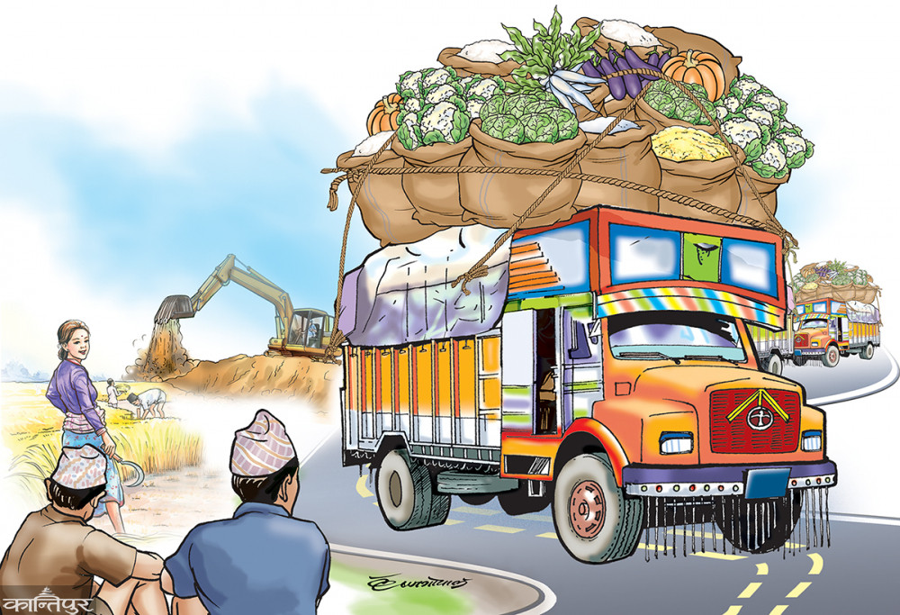 एकै वर्ष ५६ अर्बको खाद्यान्न आयात, तरकारी र फलफूल किन्दा झन्डै ५३ अर्ब रुपैयाँ बाहिरियो