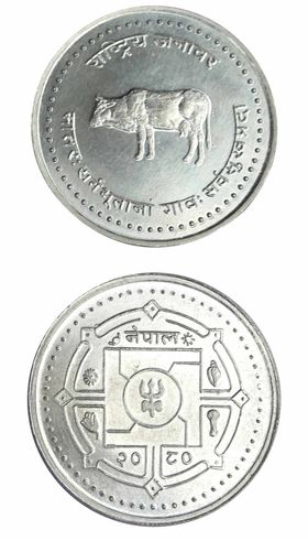 गाईको चित्र भएको सिक्का पैसाको बिक्री शुरु, कति पर्छ मूल्य ?