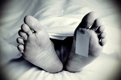 पूर्वी नवलपरासीमा बाघको आक्रमणबाट सासूबुहारीको ज्यान गयो